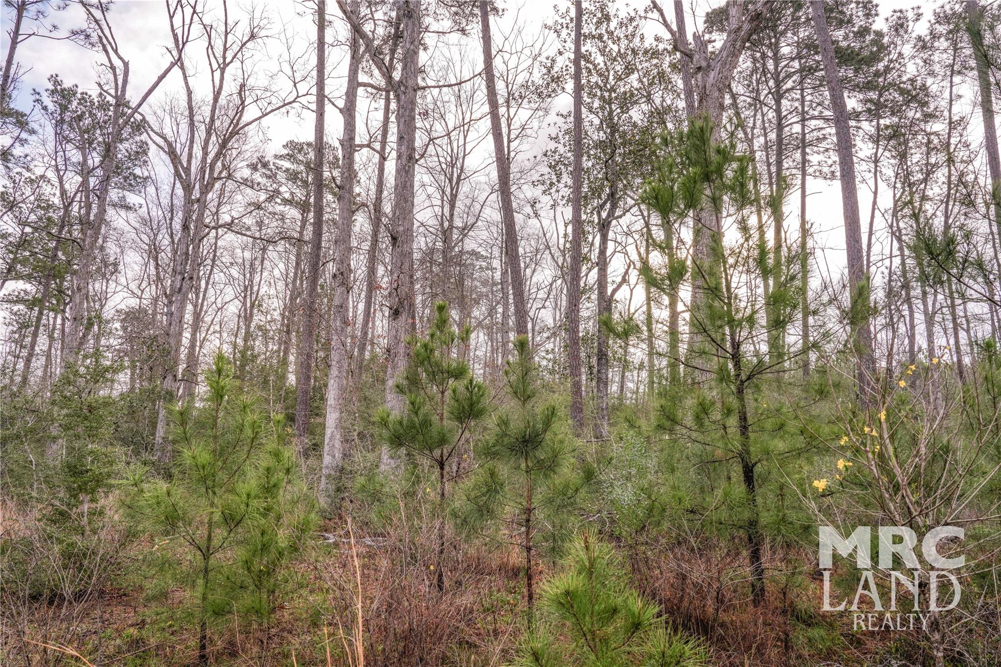 000 County Road 2052