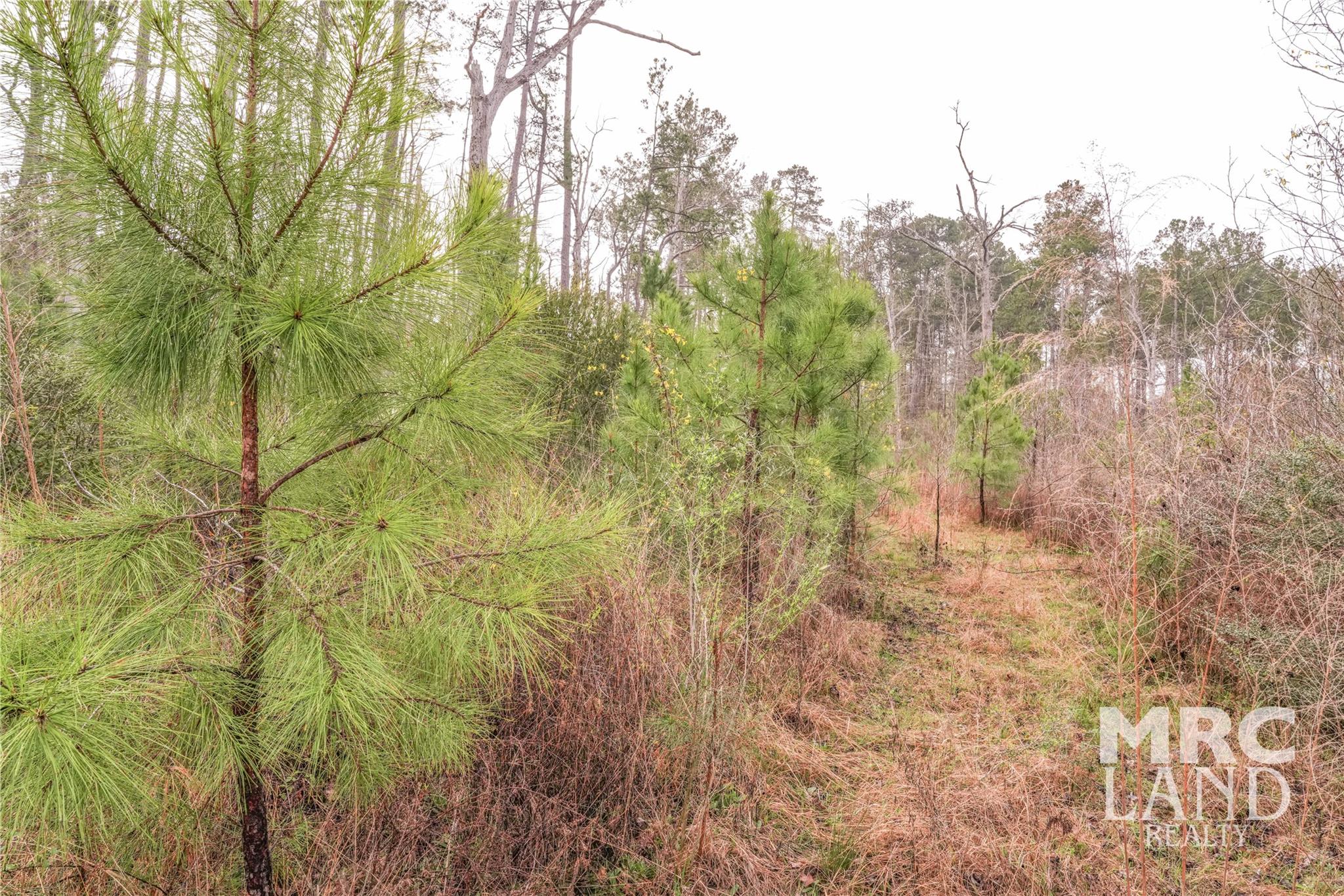 000 County Road 2052