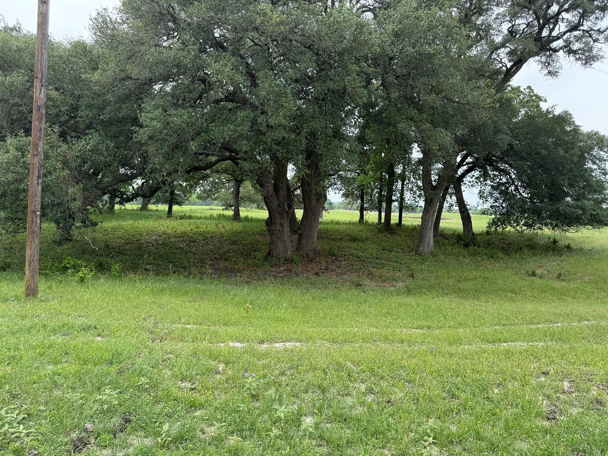 5719 Farm To Market 2238
