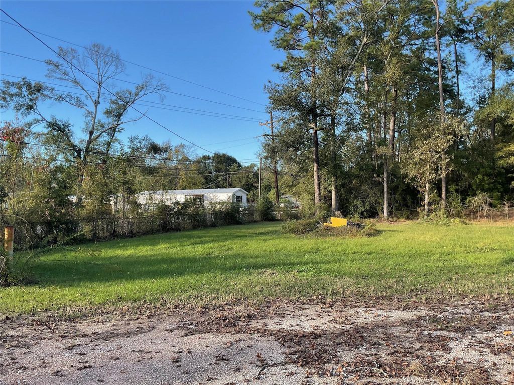 Photo of 23701 Vick Dr / 22401 Russell Drive, New Caney, TX 77357 (MLS # 54145538)