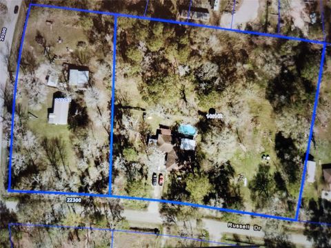 Photo of 23701 Vick Dr / 22401 Russell Drive, New Caney, TX 77357 (MLS # 54145538)