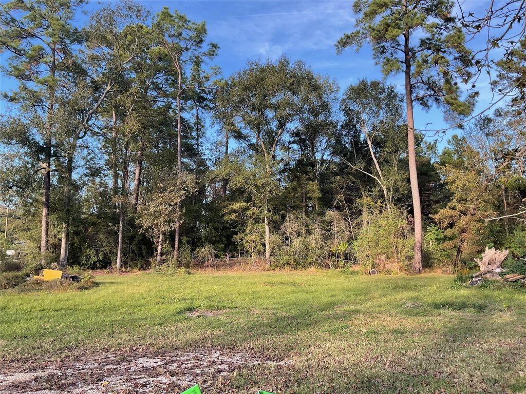 Photo of 23701 Vick Dr / 22401 Russell Drive, New Caney, TX 77357 (MLS # 54145538)