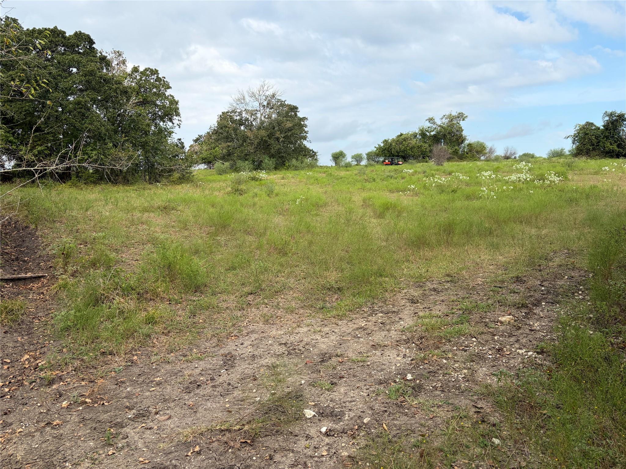 13030 County Road 446