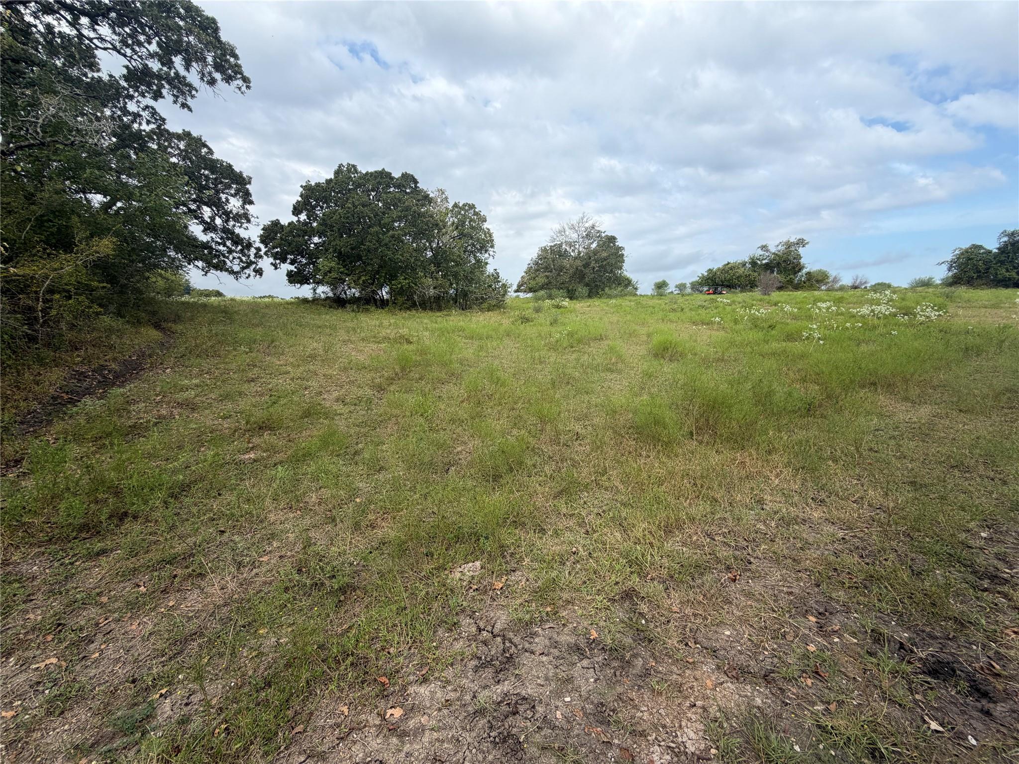 13030 County Road 446