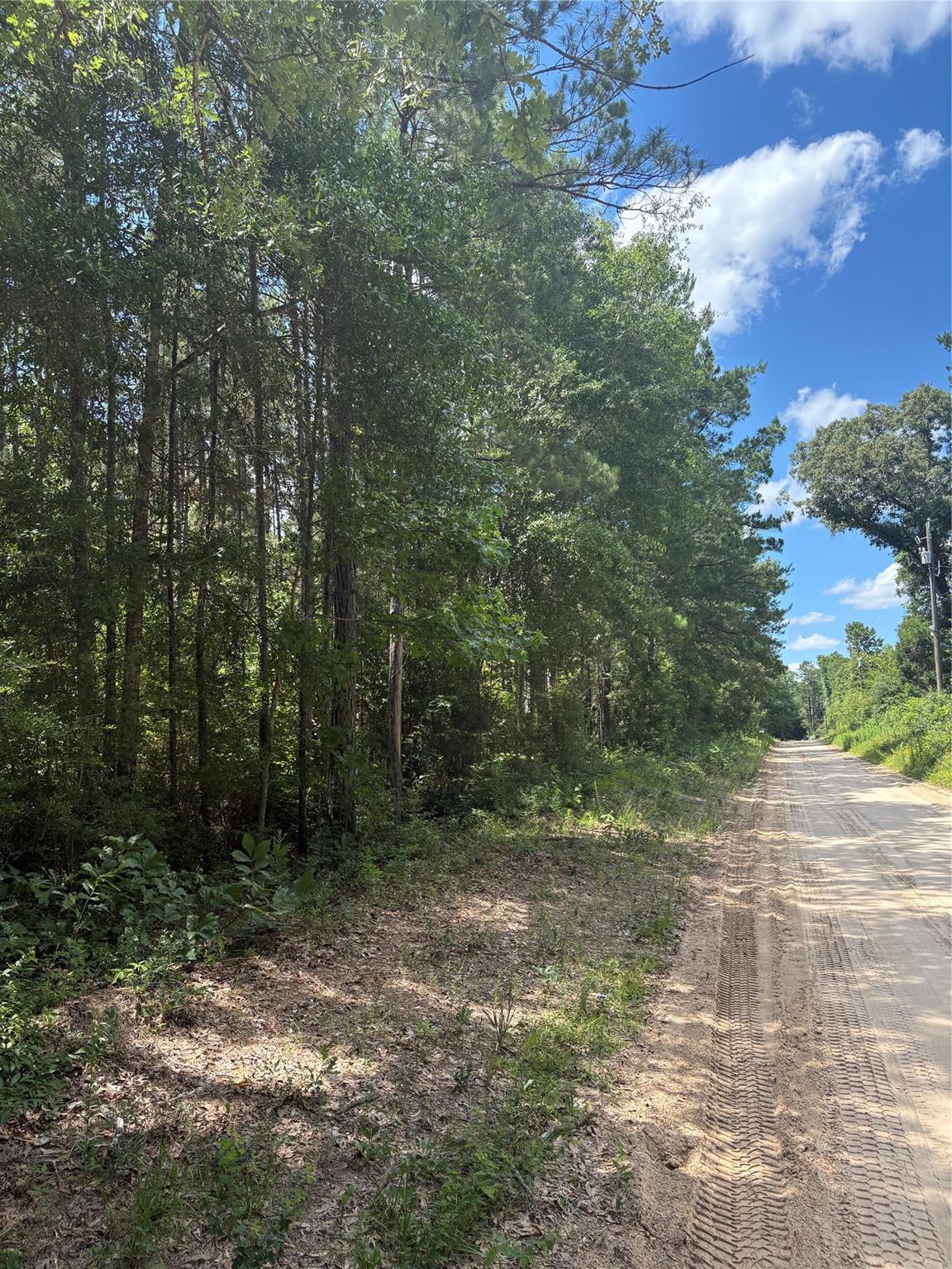 3133 County Road 4525
