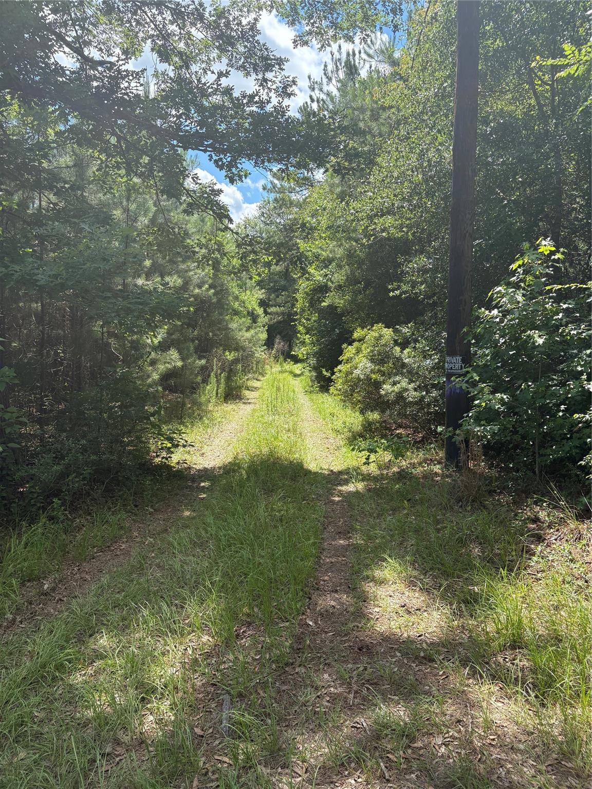 3133 County Road 4525