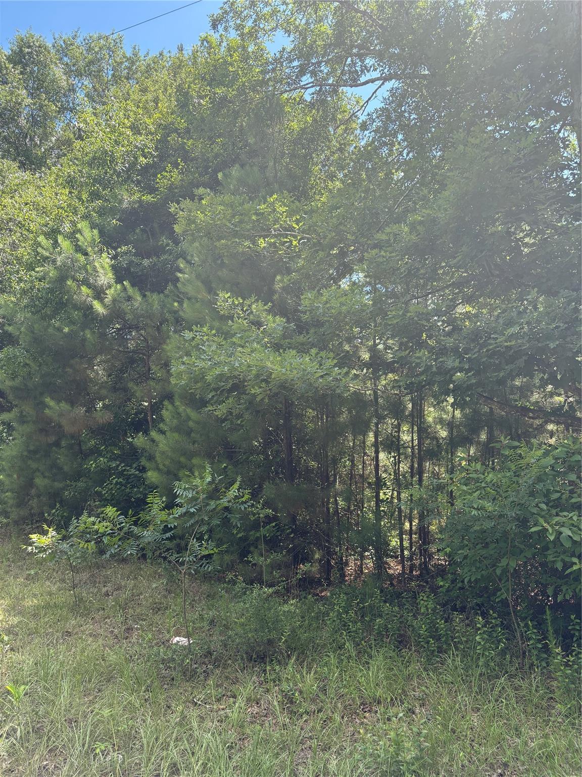 3133 County Road 4525