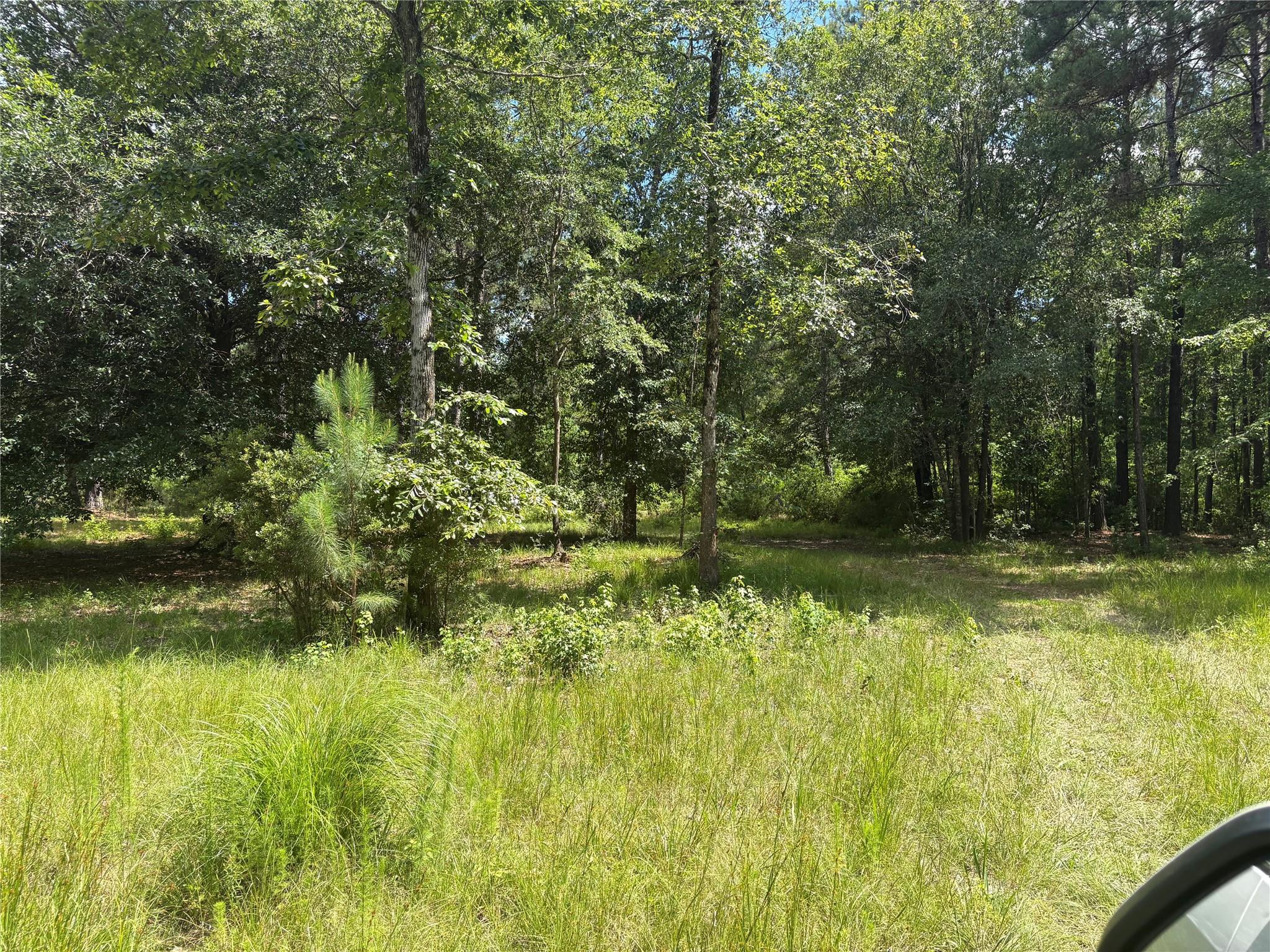 3133 County Road 4525