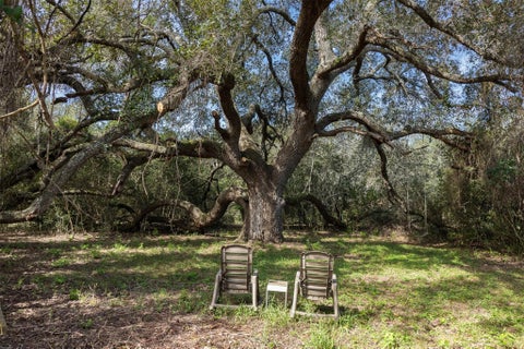 Photo of 8189 Milton Road, Sealy, TX 77474 (MLS # 33331319)
