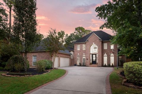 10 E Lakemist Circle The Woodlands TX 77381