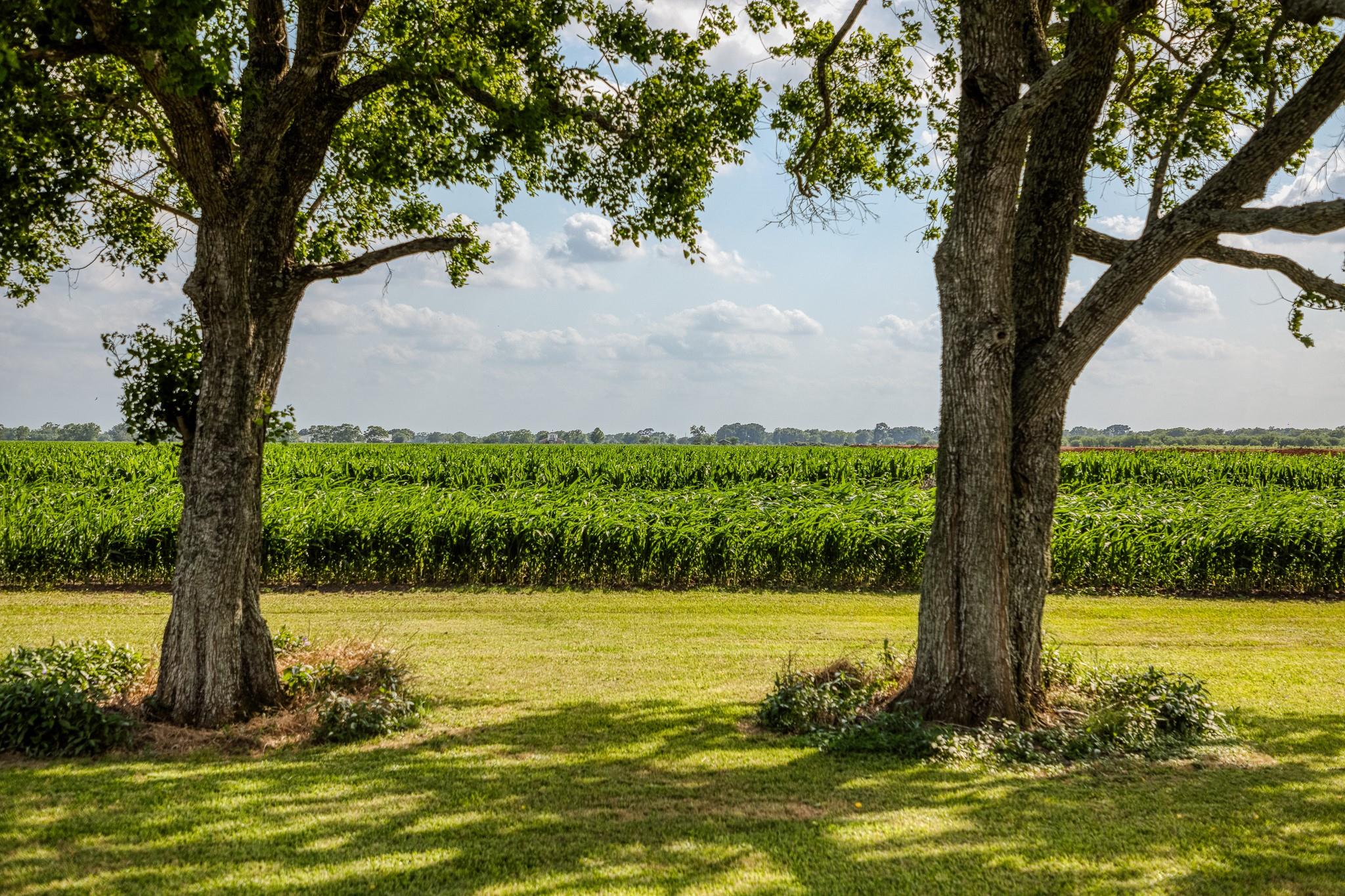 1923 Beasley West End