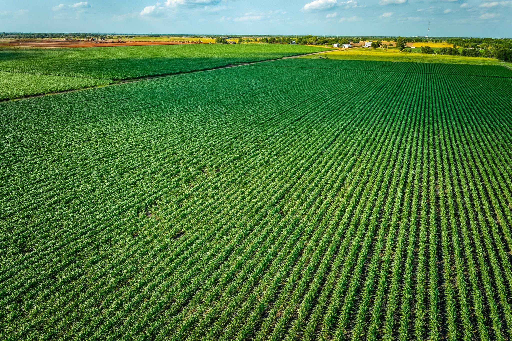 1923 Beasley West End