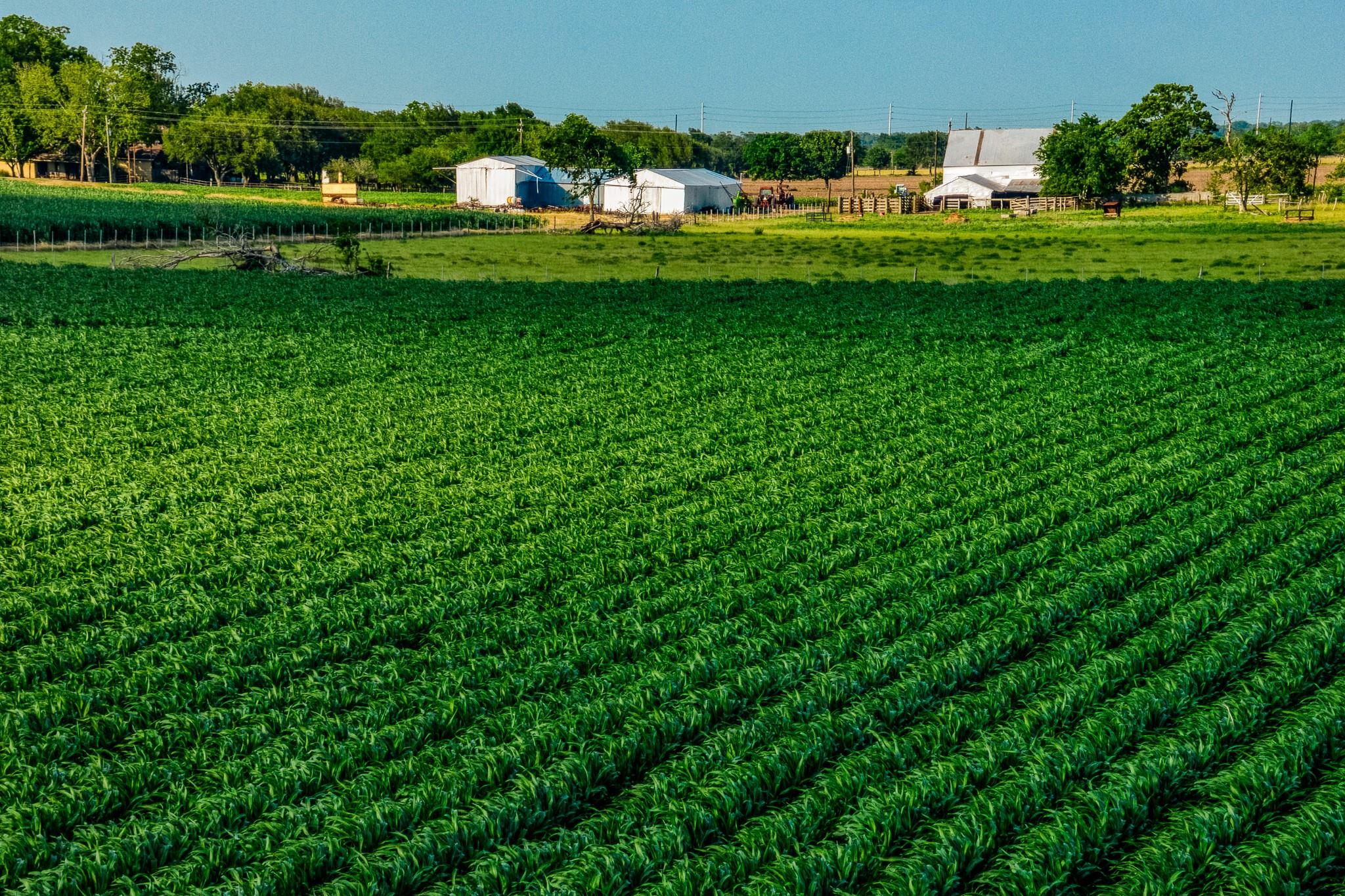 1923 Beasley West End