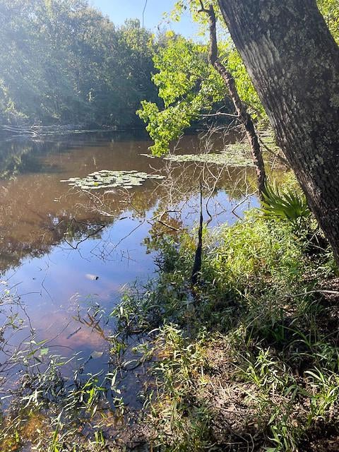 Photo of 1 Jenkins Road North, Oakhurst, TX 77359 (MLS # 26842025)