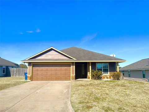 Photo of 407 Laney Street, Brenham, TX 77833 (MLS # 44947082)