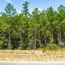 15645 Ridge Rock Road