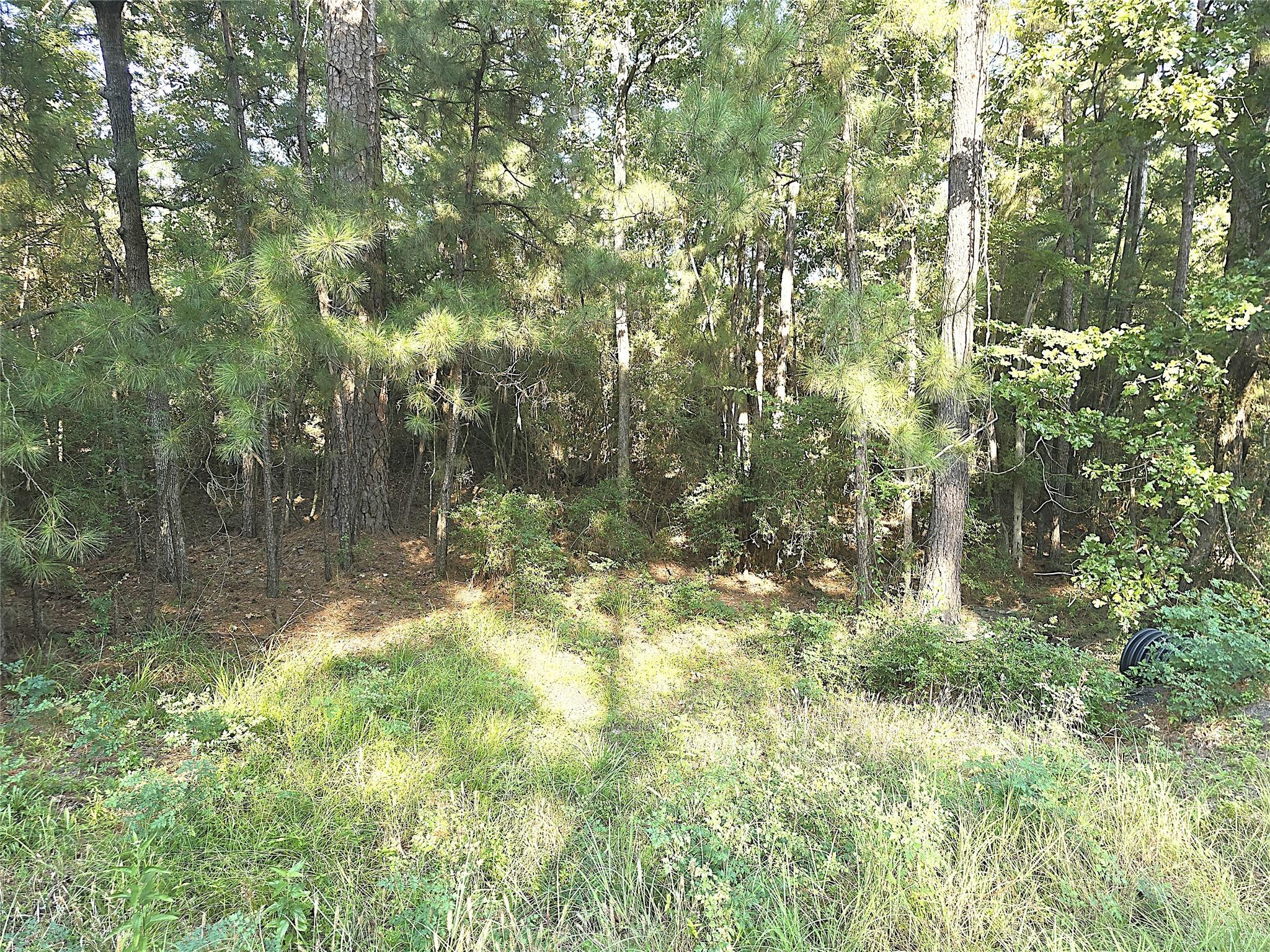 TBD Oakwood Drive