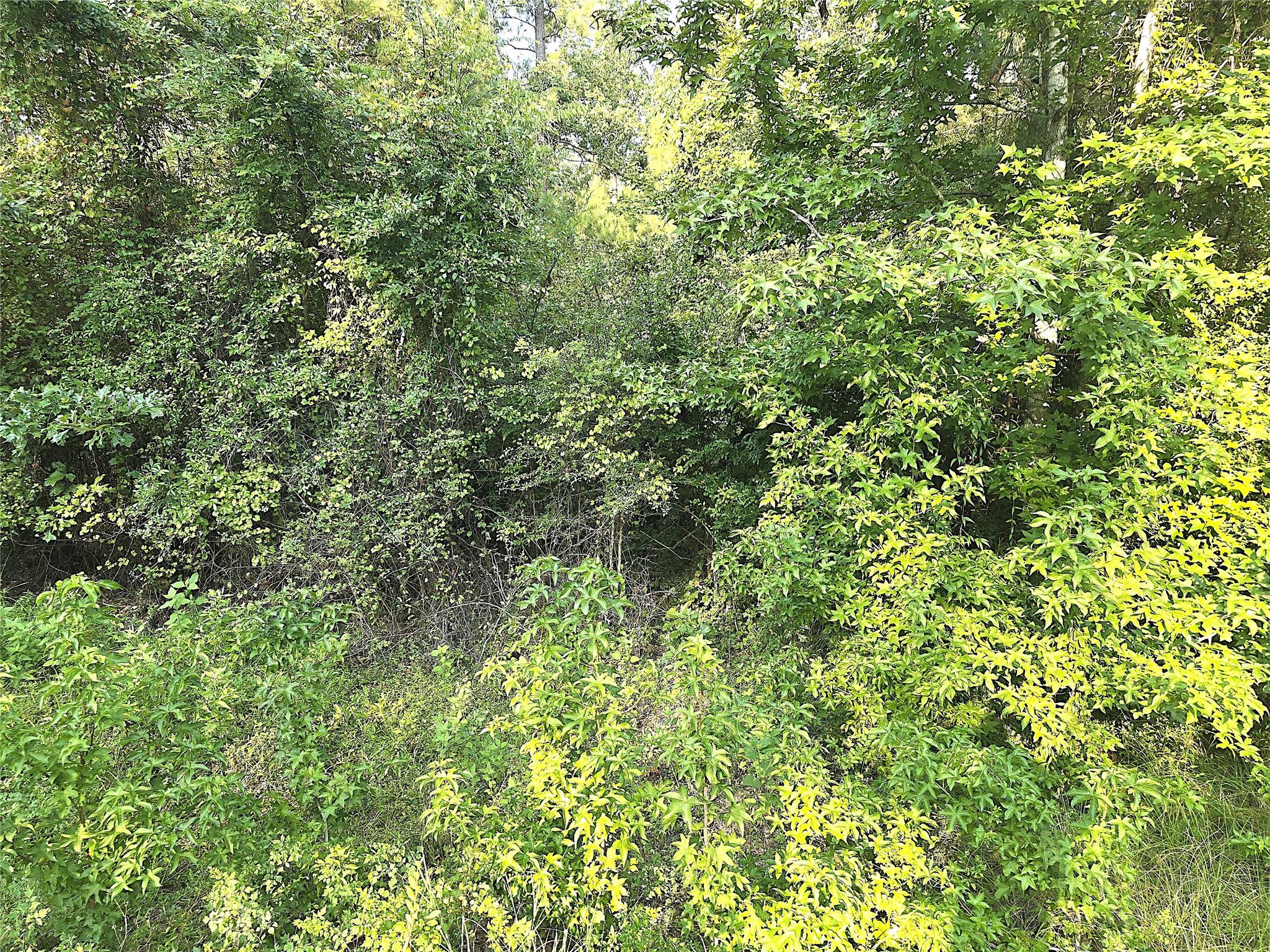 TBD Oakwood Drive