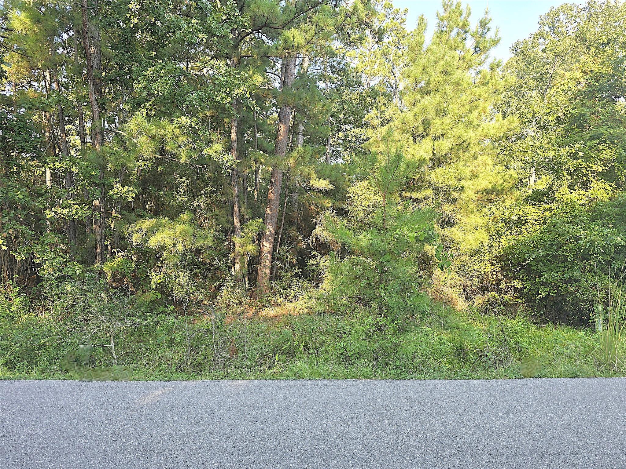 TBD Oakwood Drive
