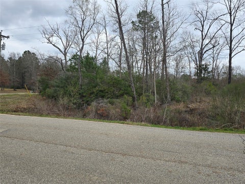 Photo of 74 County Road 6323, Dayton, TX 77535 (MLS # 10969445)