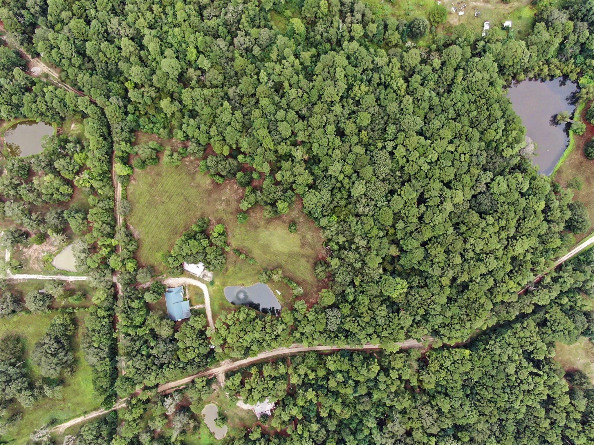23421 Martha Williams Road
