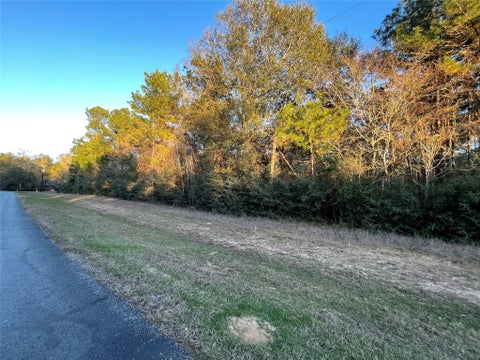 Photo of 28921 Mustang Drive, Waller, TX 77484 (MLS # 30886859)
