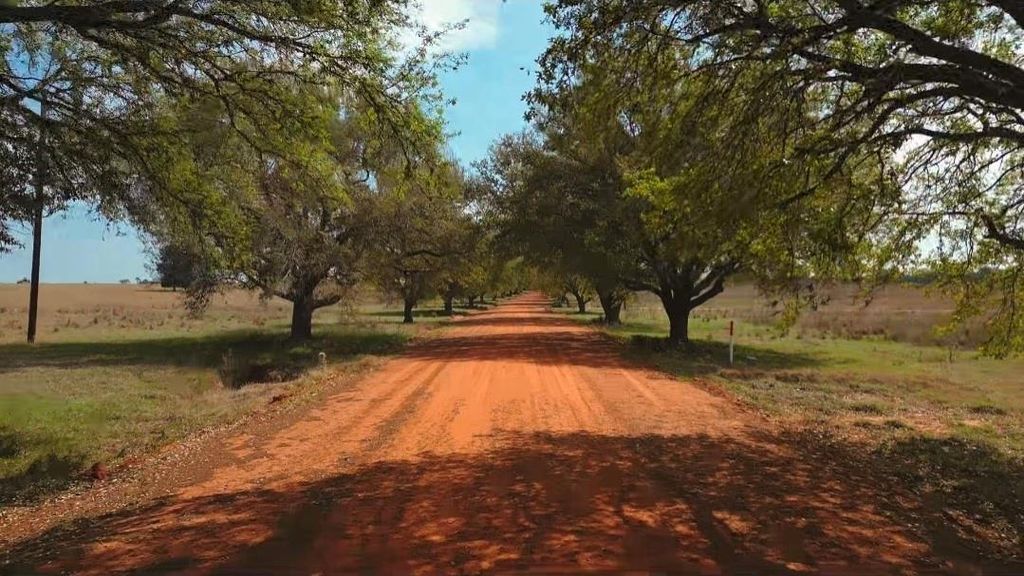 Photo of 136 Lot 136-137 Royal Oak Dr, Hillister, TX 77624 (MLS # 60611975)