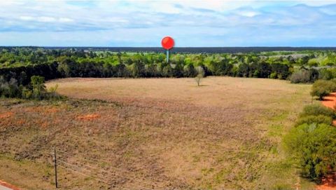 Vacant Land For Sale - 136-137 Lot 136-137 Royal Oak Dr<br/> Tyler County, Hillister, TX 77624