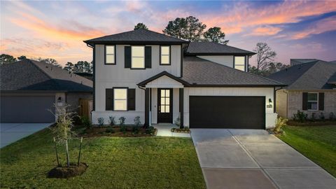 Homes For Sale - 19733 Flag View Drive<br/> Montgomery, TX 77316