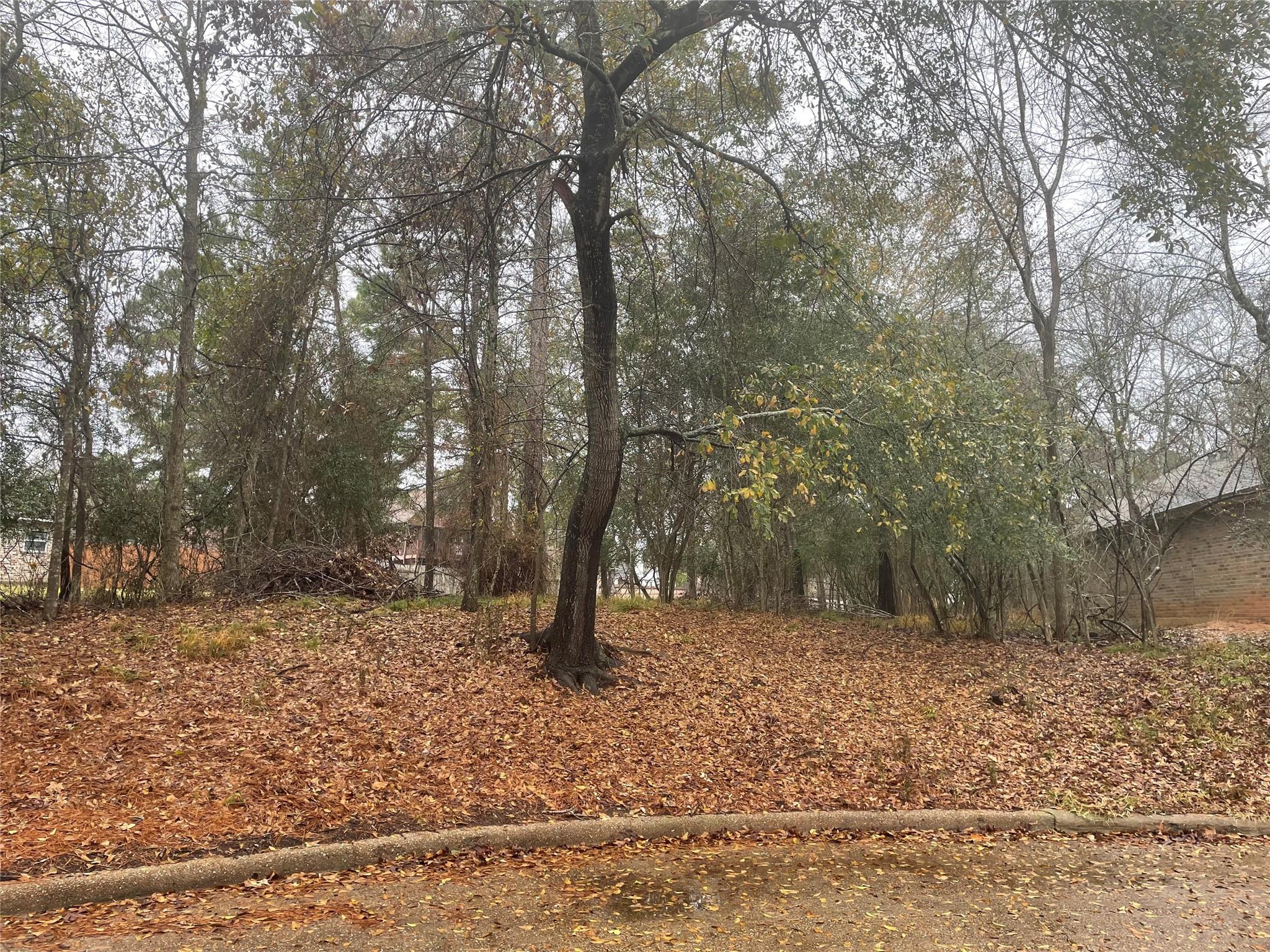3503 Woodland Lane