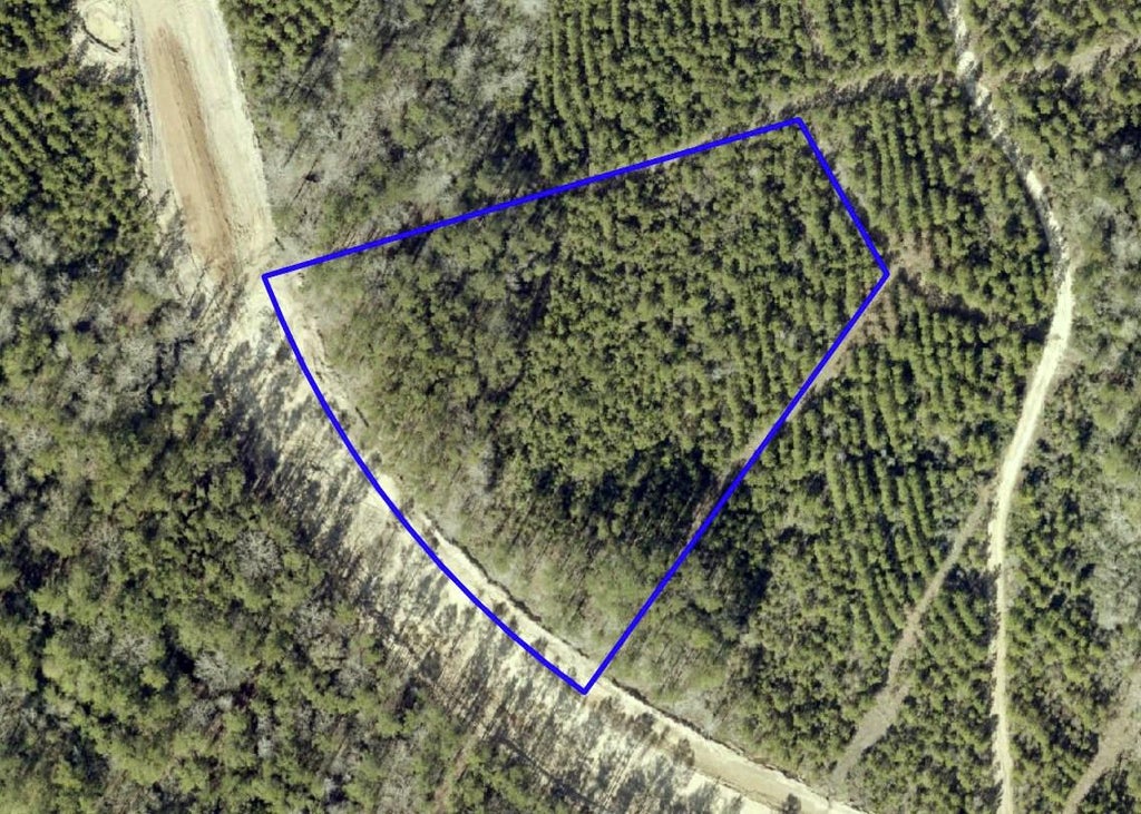 Photo of 15590 Woodlife Road, Willis, TX 77378 (MLS # 95171638)