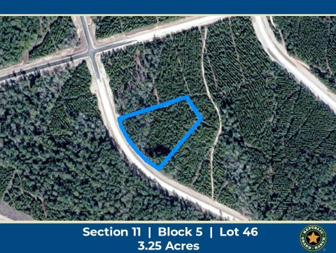 Photo of 15590 Woodlife Road, Willis, TX 77378 (MLS # 95171638)