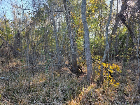 Vacant Land For Sale - 414 Highway 105<br/> Liberty, TX 77575