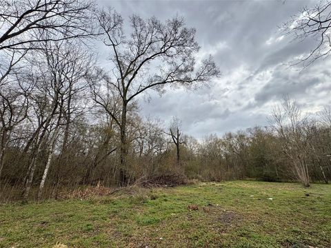 Vacant Land For Sale - 10 Neuman Street<br/> Coldspring, TX 77331