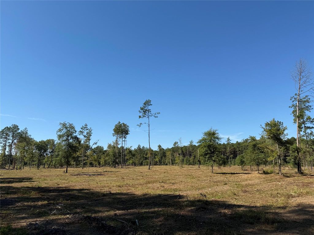 Photo of 1795 Fm-787, Cleveland, TX 77327 (MLS # 10633870)