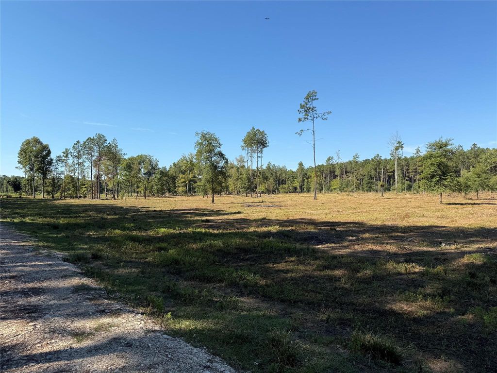Photo of 1795 Fm-787, Cleveland, TX 77327 (MLS # 10633870)