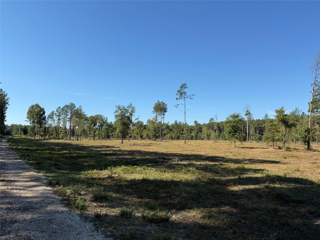 Photo of 1795 Fm-787, Cleveland, TX 77327 (MLS # 10633870)