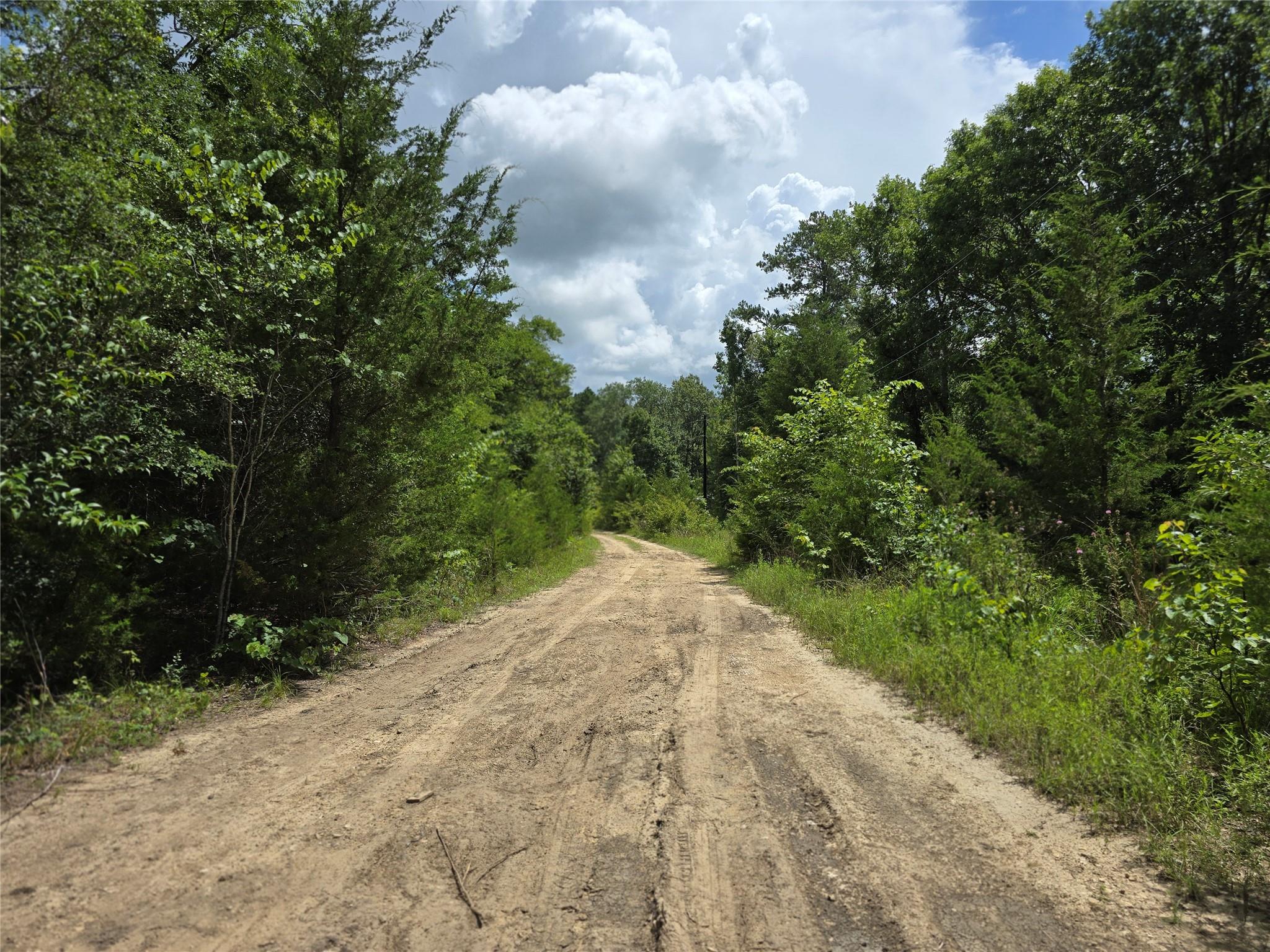 TBD Nelson Lane