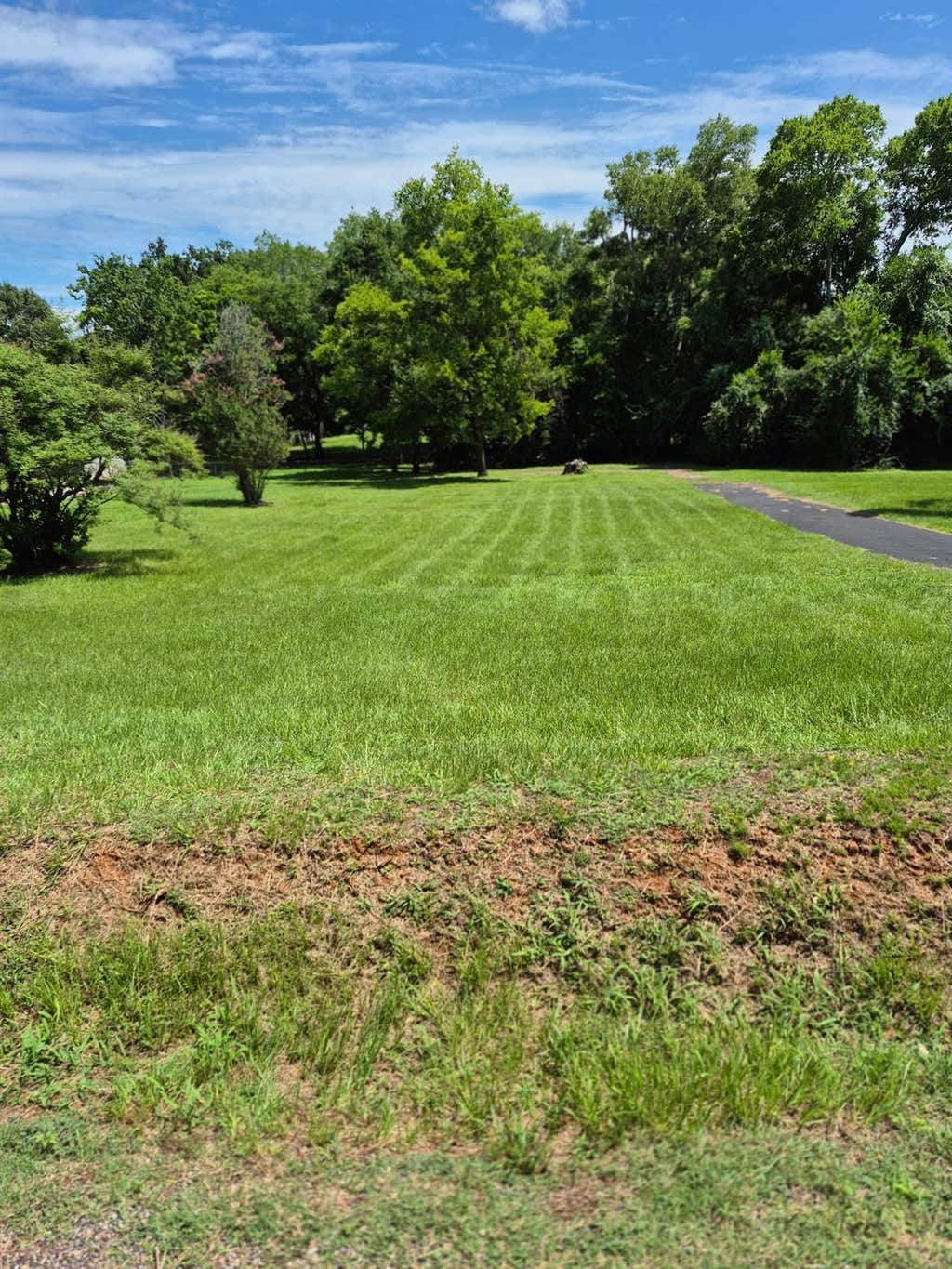 Photo of 511 Myrtle Drive, Jacksonville, TX 75766 (MLS # 54232704)