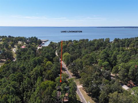 Photo of 458 Rain Forset Road, Onalaska, TX 77360 (MLS # 51441262)