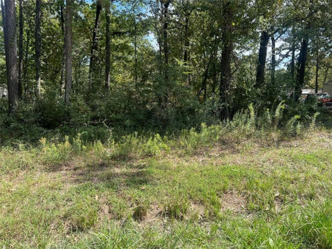Vacant Land For Sale - TBD Meridian Lot 22<br/> Livingston, TX 77351