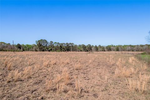 Tiny photo for NA Kickapoo Road, Groveton, TX 75845 (MLS # 10005360)