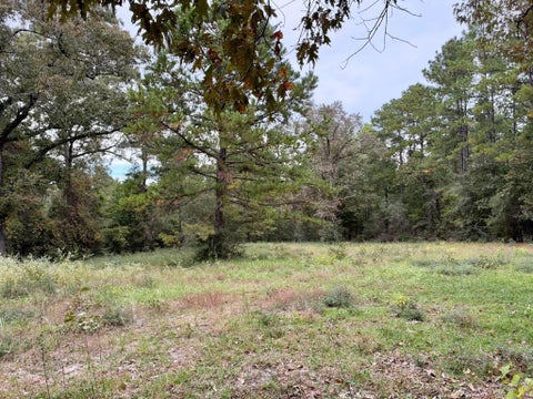 Photo of 7 Cr 3266, Colmesneil, TX 75938 (MLS # 68629790)