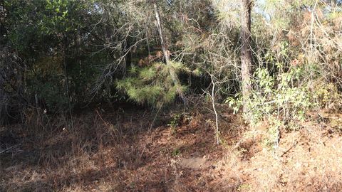 Vacant Land For Sale - Pin Tail Drive<br/> Coldspring, TX 77331