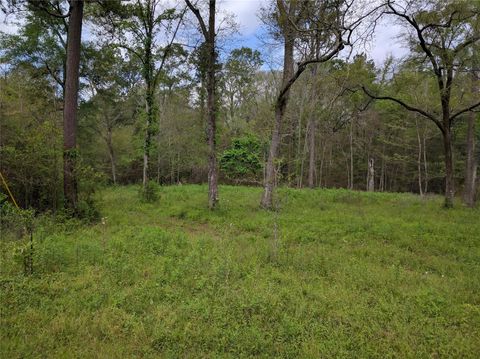 50 Jock Street Livingston TX 77351