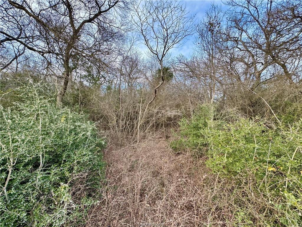 10075 River Ridge Drive