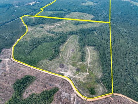 Vacant Land For Sale - 2 Fm 1987<br/> Corrigan, TX 75939