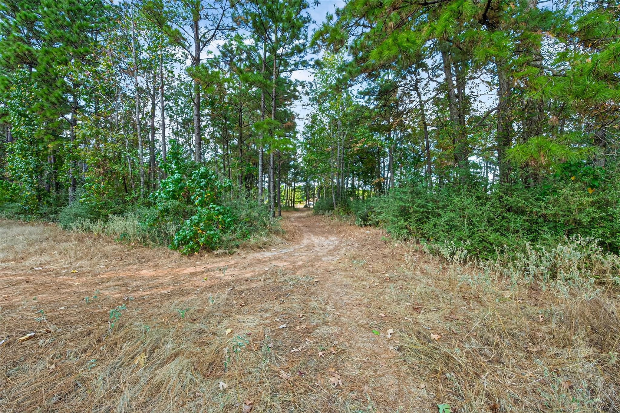 314 Scenic Lake Court