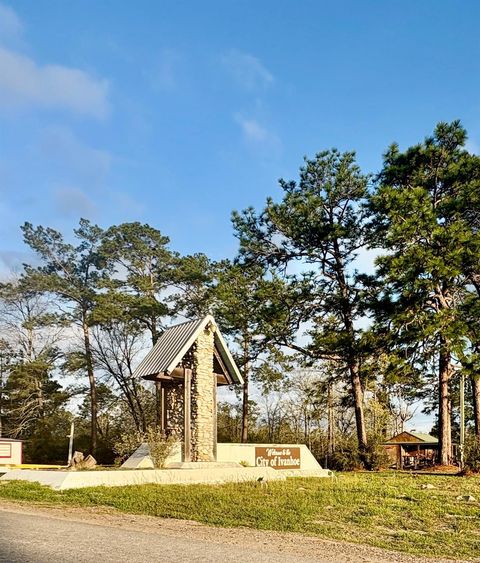 Lot 17,18 Chanticleer Drive Ivanhoe TX 75979