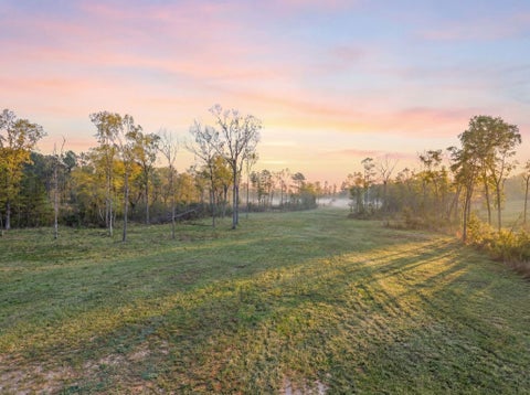 Vacant Land For Sale - LOT 13 Fm 350 N<br/> Livingston, TX 77351